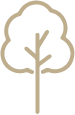 tree icon